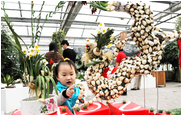 世界花卉大观第二届水仙花迎春文化艺术展在京开展